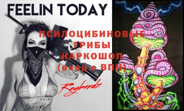 PSILOCYBIN Абаза