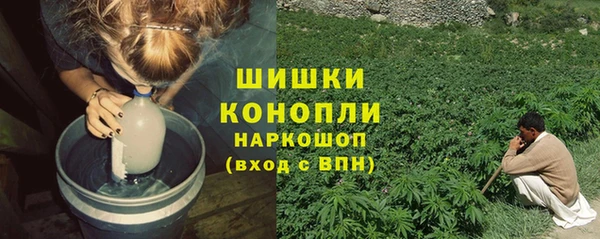 PSILOCYBIN Абаза
