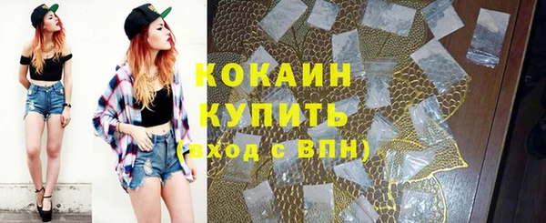 PSILOCYBIN Абаза