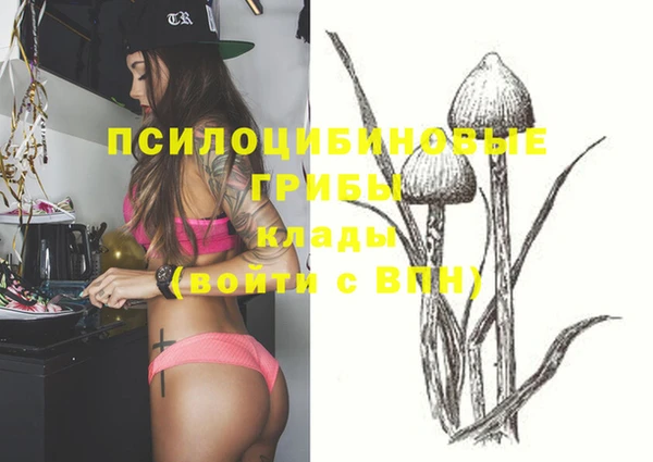 mdpv Няндома