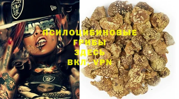 ПСИЛОЦИБИНОВЫЕ ГРИБЫ Нязепетровск