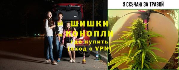 ПСИЛОЦИБИНОВЫЕ ГРИБЫ Нязепетровск